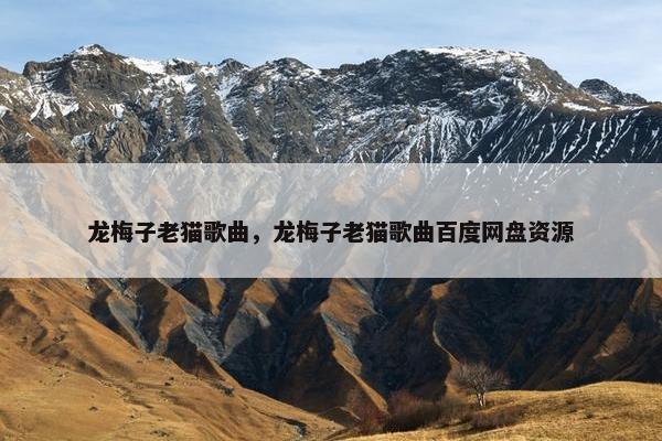 龙梅子老猫歌曲，龙梅子老猫歌曲百度网盘资源