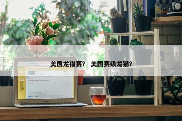 美国龙猫赛？ 美国赛级龙猫？