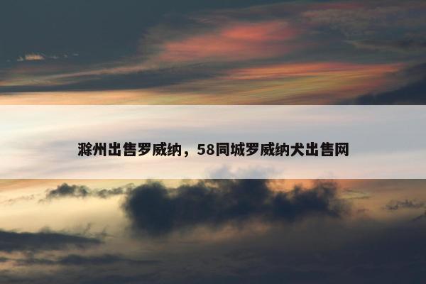 滁州出售罗威纳，58同城罗威纳犬出售网