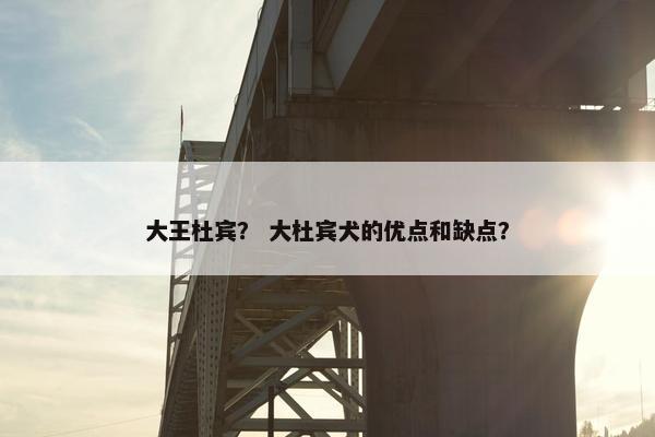 大王杜宾？ 大杜宾犬的优点和缺点？