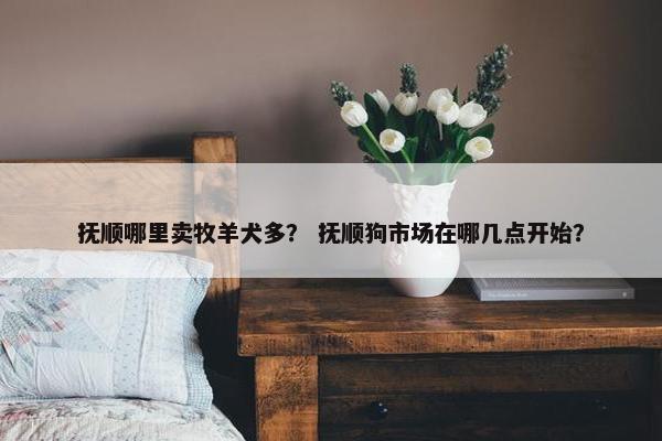 抚顺哪里卖牧羊犬多？ 抚顺狗市场在哪几点开始？