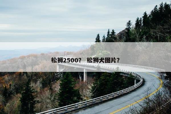 松狮2500？ 松狮犬图片？