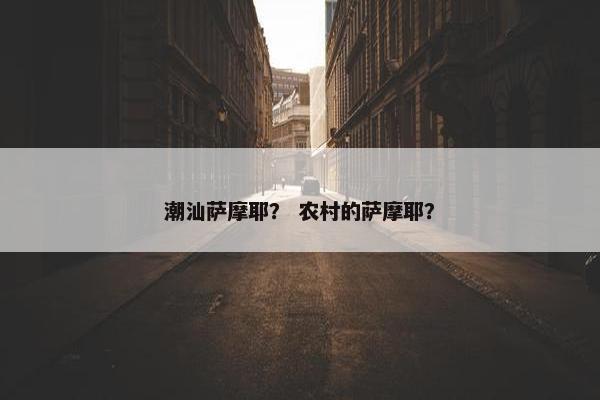 潮汕萨摩耶？ 农村的萨摩耶？
