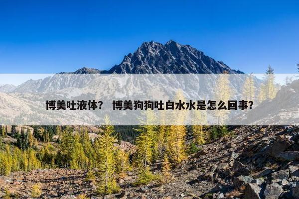 博美吐液体？ 博美狗狗吐白水水是怎么回事？