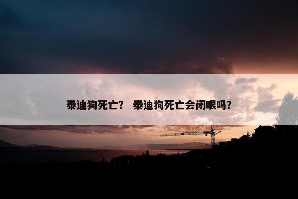 泰迪狗死亡？ 泰迪狗死亡会闭眼吗？