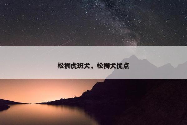 松狮虎斑犬，松狮犬优点