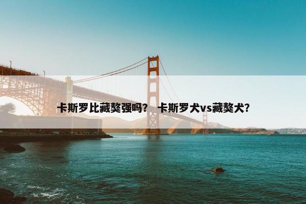 卡斯罗比藏獒强吗？ 卡斯罗犬vs藏獒犬？