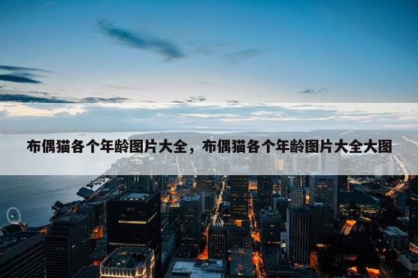 布偶猫各个年龄图片大全，布偶猫各个年龄图片大全大图