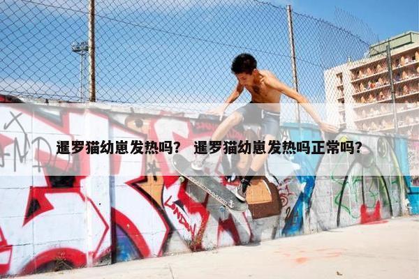 暹罗猫幼崽发热吗？ 暹罗猫幼崽发热吗正常吗？