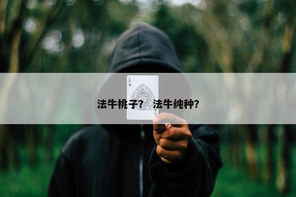 法牛桃子？ 法牛纯种？