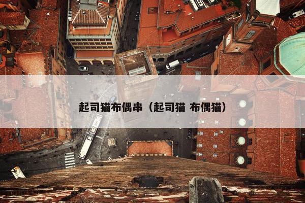 起司猫布偶串（起司猫 布偶猫）