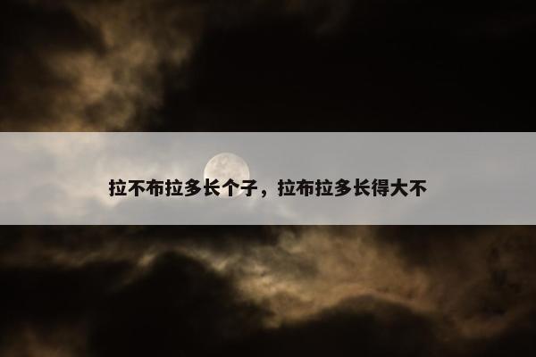 拉不布拉多长个子，拉布拉多长得大不