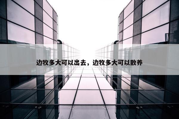 边牧多大可以出去，边牧多大可以散养