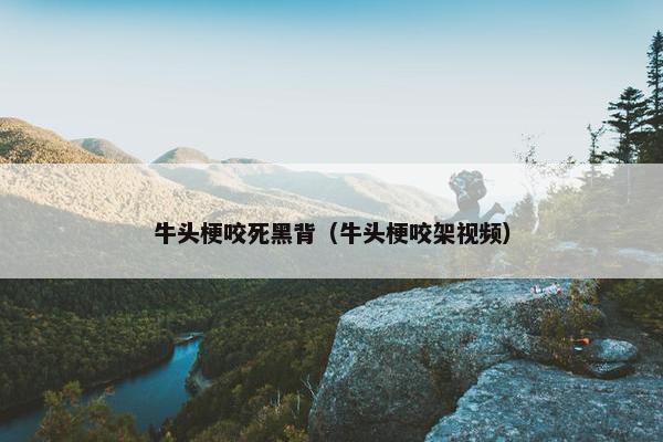牛头梗咬死黑背（牛头梗咬架视频）