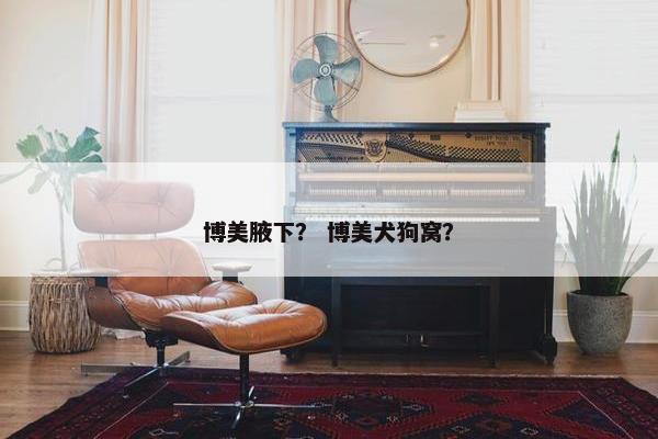 博美腋下？ 博美犬狗窝？