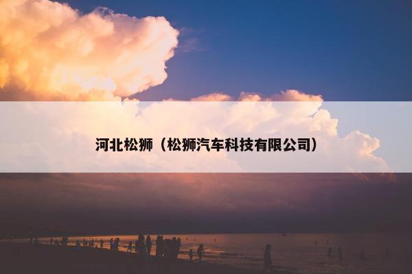 河北松狮（松狮汽车科技有限公司）