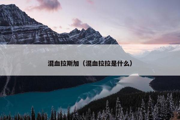 混血拉斯加（混血拉拉是什么）