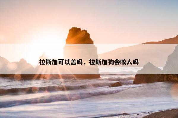 拉斯加可以盖吗，拉斯加狗会咬人吗