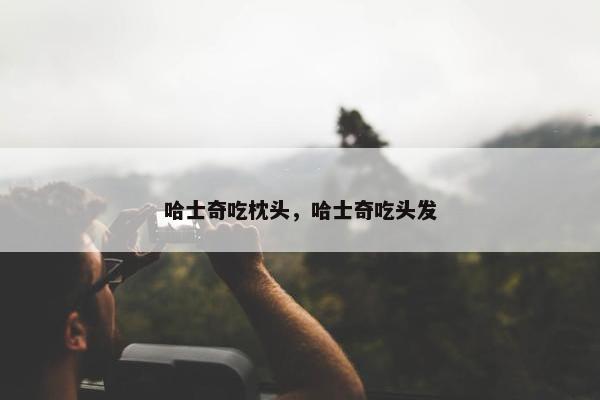 哈士奇吃枕头，哈士奇吃头发