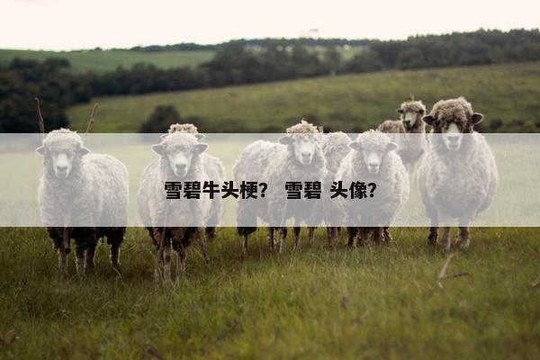 雪碧牛头梗？ 雪碧 头像？