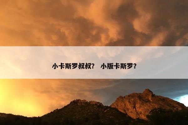 小卡斯罗叔叔？ 小版卡斯罗？