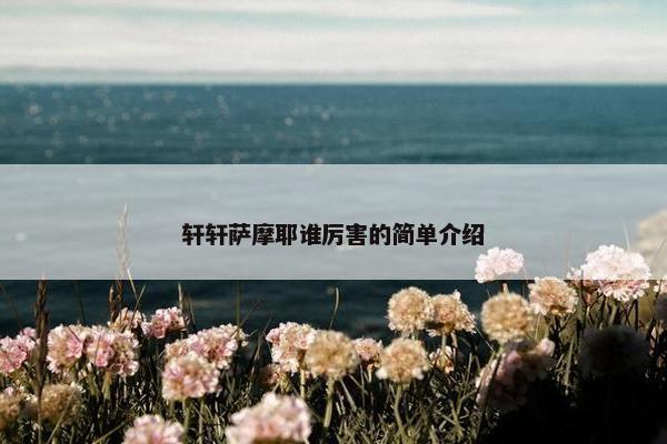 轩轩萨摩耶谁厉害的简单介绍
