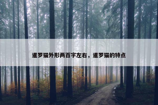 暹罗猫外形两百字左右，暹罗猫的特点
