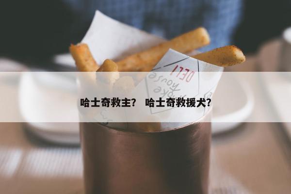哈士奇救主？ 哈士奇救援犬？