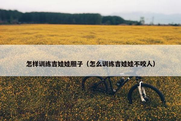 怎样训练吉娃娃胆子（怎么训练吉娃娃不咬人）