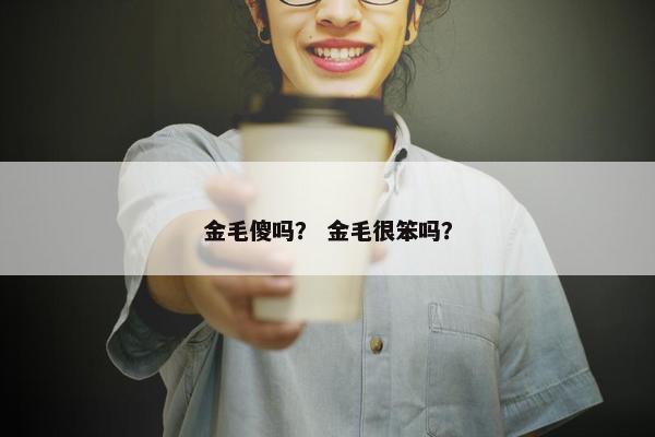 金毛傻吗？ 金毛很笨吗？
