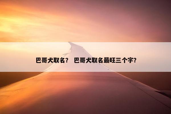 巴哥犬取名？ 巴哥犬取名最旺三个字？