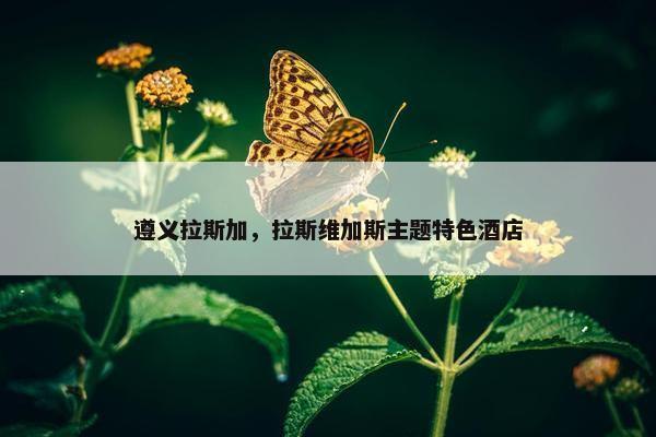 遵义拉斯加，拉斯维加斯主题特色酒店