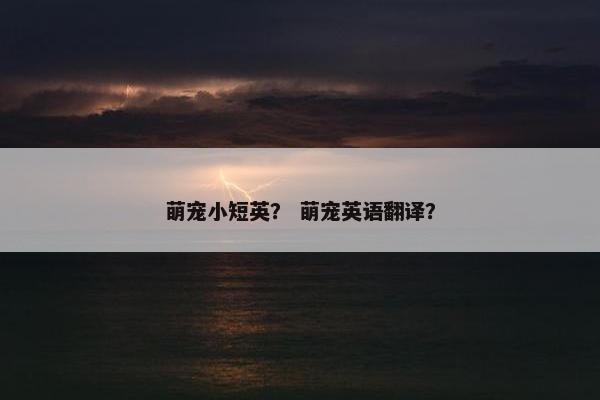 萌宠小短英？ 萌宠英语翻译？
