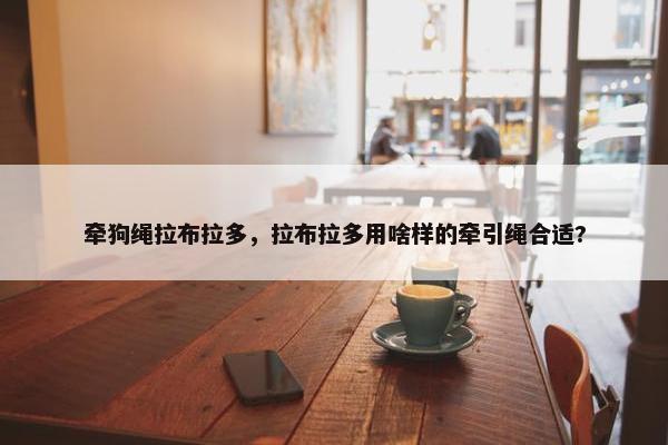 牵狗绳拉布拉多，拉布拉多用啥样的牵引绳合适?