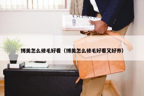 博美怎么修毛好看（博美怎么修毛好看又好养）