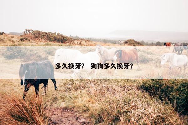 多久换牙？ 狗狗多久换牙？