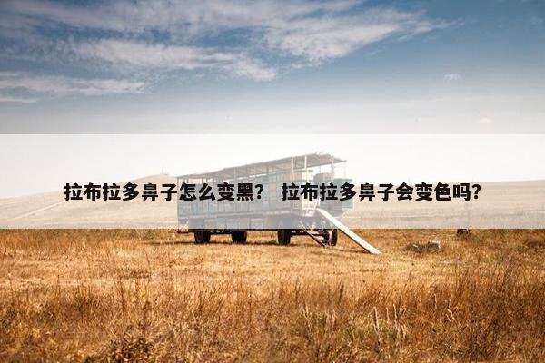拉布拉多鼻子怎么变黑？ 拉布拉多鼻子会变色吗？