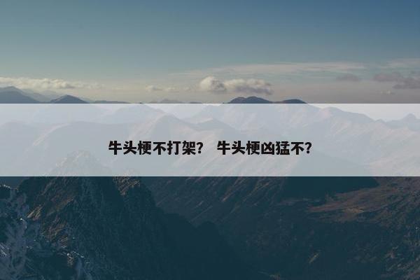 牛头梗不打架？ 牛头梗凶猛不？