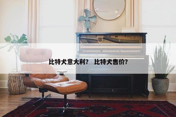 比特犬意大利？ 比特犬售价？