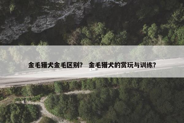 金毛猎犬金毛区别？ 金毛猎犬的赏玩与训练？