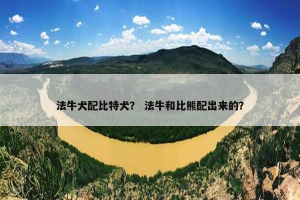 法牛犬配比特犬？ 法牛和比熊配出来的？