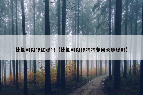 比熊可以吃红肠吗（比熊可以吃狗狗专用火腿肠吗）