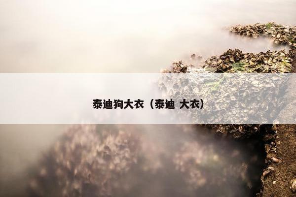 泰迪狗大衣（泰迪 大衣）