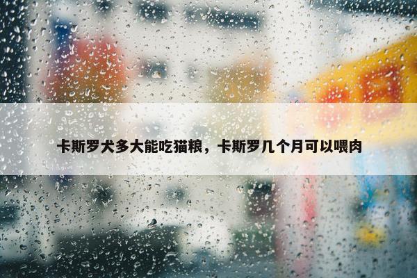 卡斯罗犬多大能吃猫粮，卡斯罗几个月可以喂肉