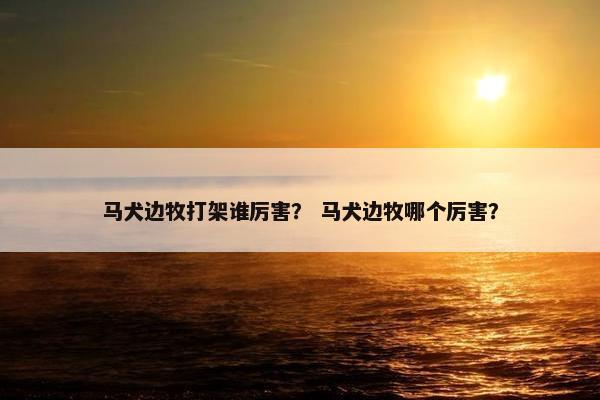 马犬边牧打架谁厉害？ 马犬边牧哪个厉害？