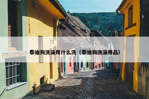 泰迪狗洗澡用什么洗（泰迪狗洗澡用品）