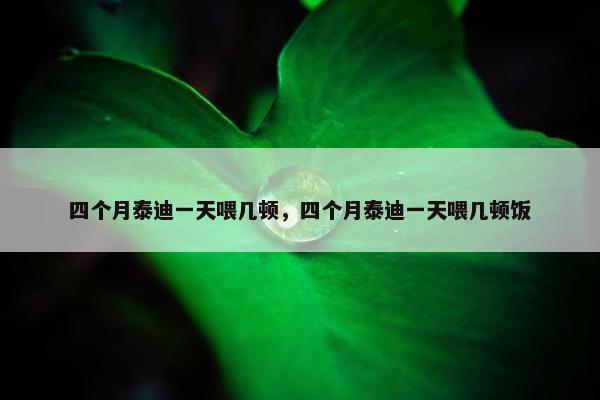 四个月泰迪一天喂几顿，四个月泰迪一天喂几顿饭