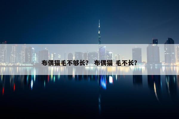 布偶猫毛不够长？ 布偶猫 毛不长？