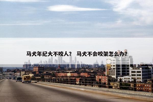 马犬年纪大不咬人？ 马犬不会咬架怎么办？
