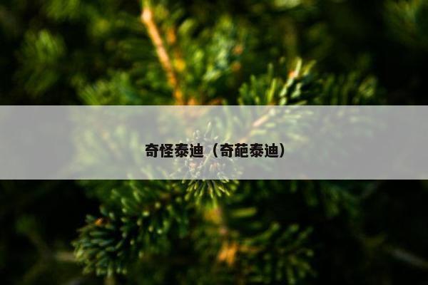 奇怪泰迪（奇葩泰迪）